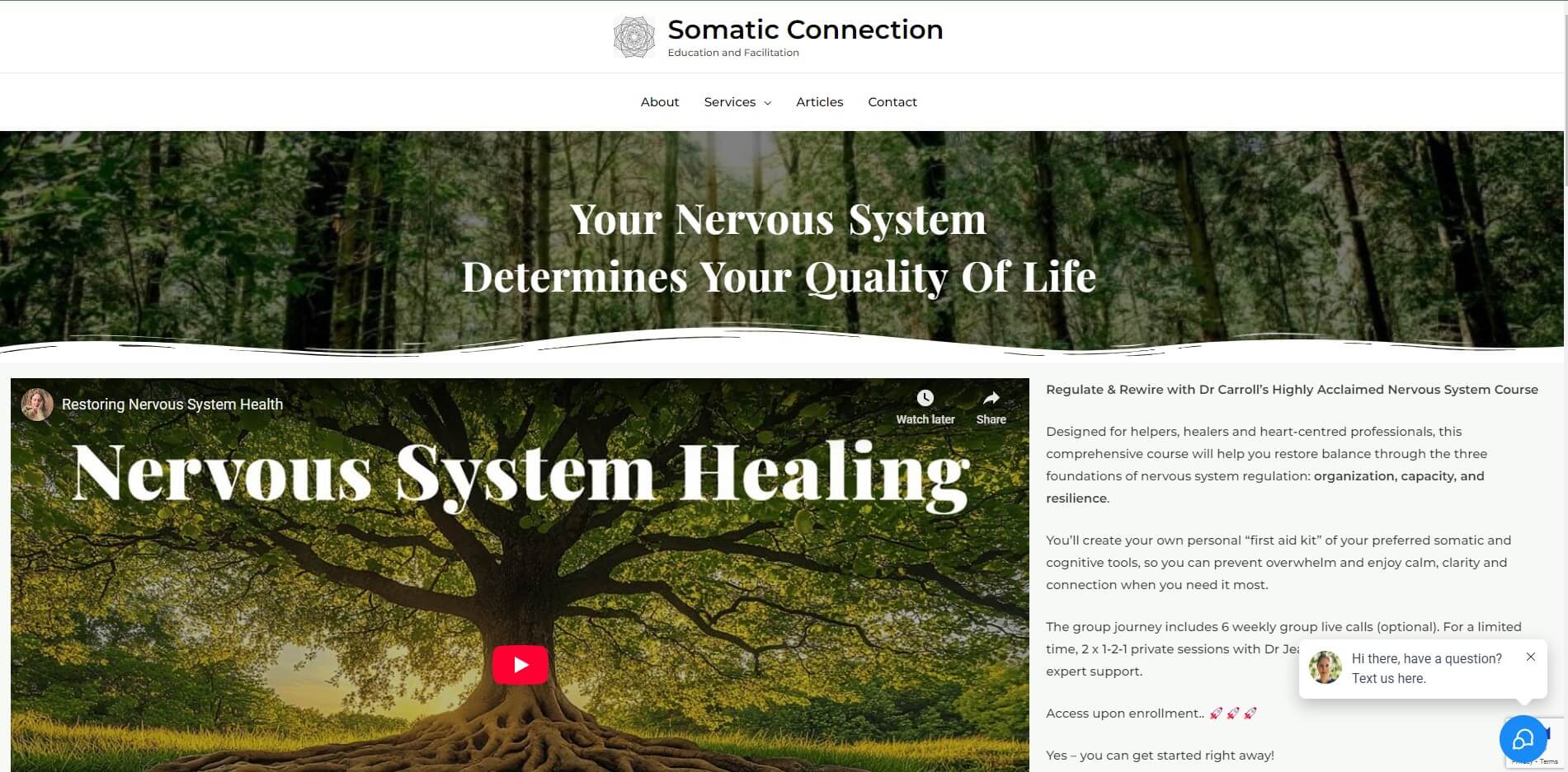 somatic connection with dr jean carroll