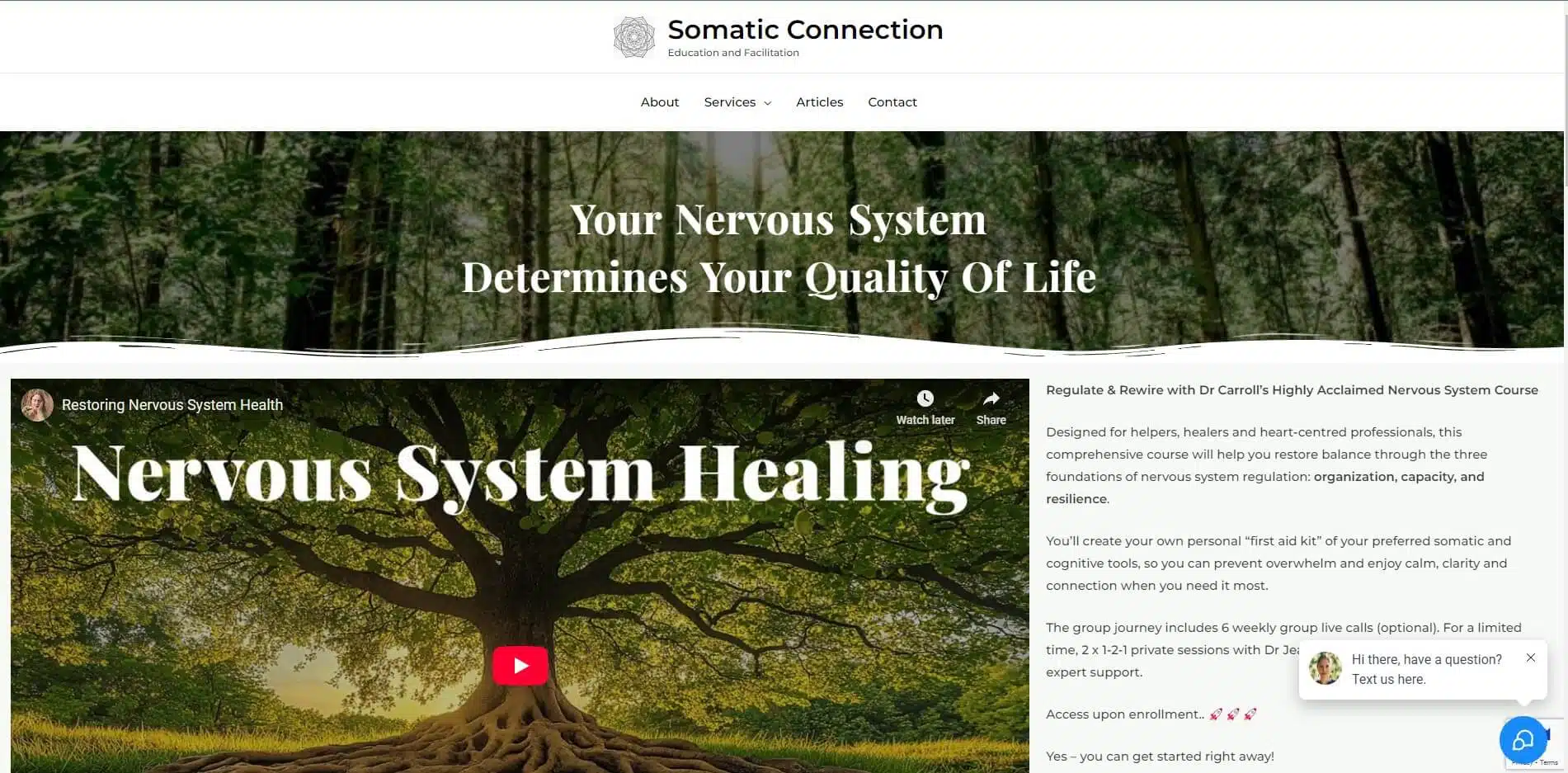 somatic connection with dr jean carroll